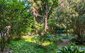 Belle Arti Gallery Garden House